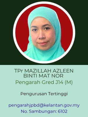 pengarah